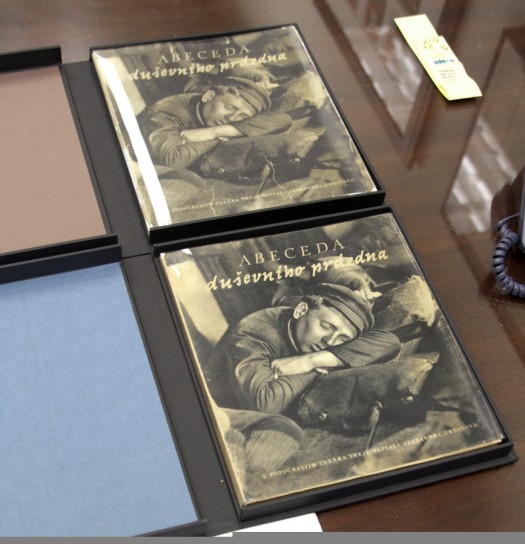 Zdenek Tmej's Abeceda: Dusevniho Prazdna, one with an original and one with a fake dustjacket