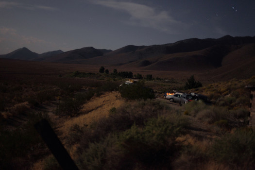 52NouwensIMG_0378web